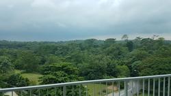 Tree House (D23), Condominium #146963092